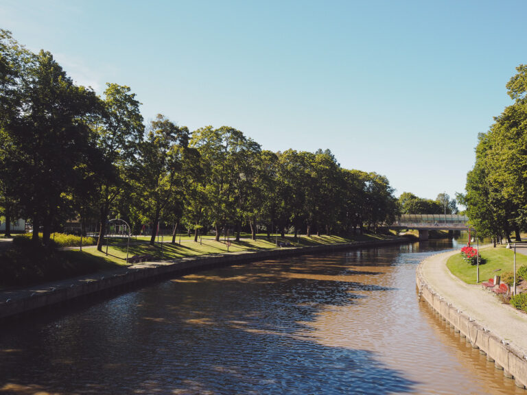 Salonjoki.